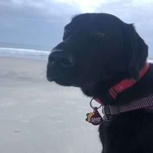 Meet your Posher, Katelin